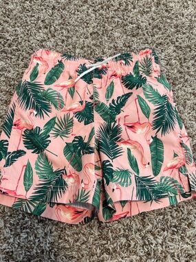 Boys Pink Flamingo swim trunks
